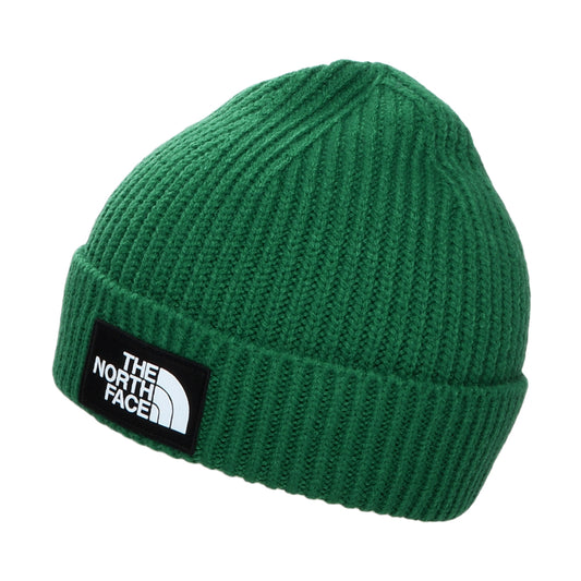 Gorro Beanie niños TNF Box Logo con vuelta de The North Face - Siempreverde