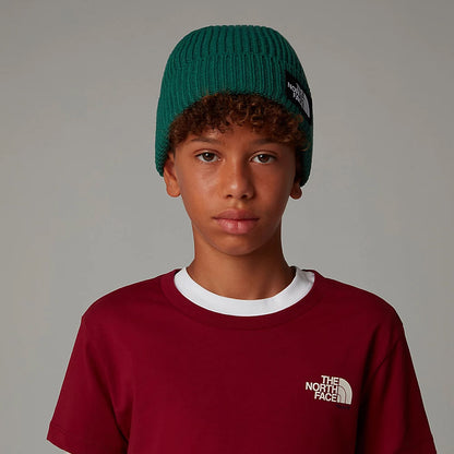 Gorro Beanie niños TNF Box Logo con vuelta de The North Face - Siempreverde