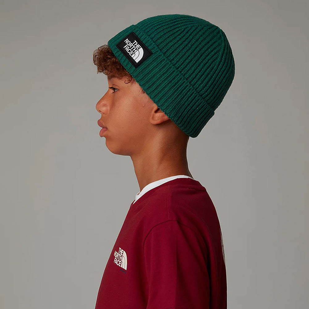 Gorro Beanie niños TNF Box Logo con vuelta de The North Face - Siempreverde