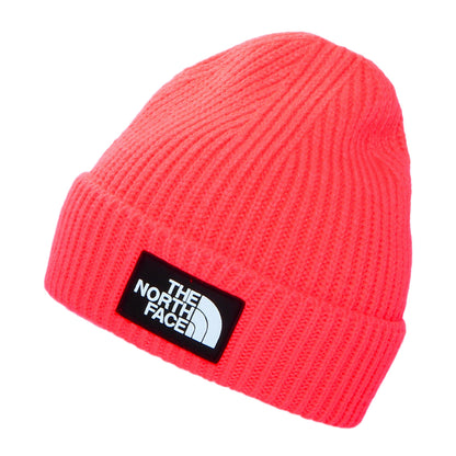 Gorro Beanie niños TNF Box Logo con vuelta de The North Face - Rosa Neon