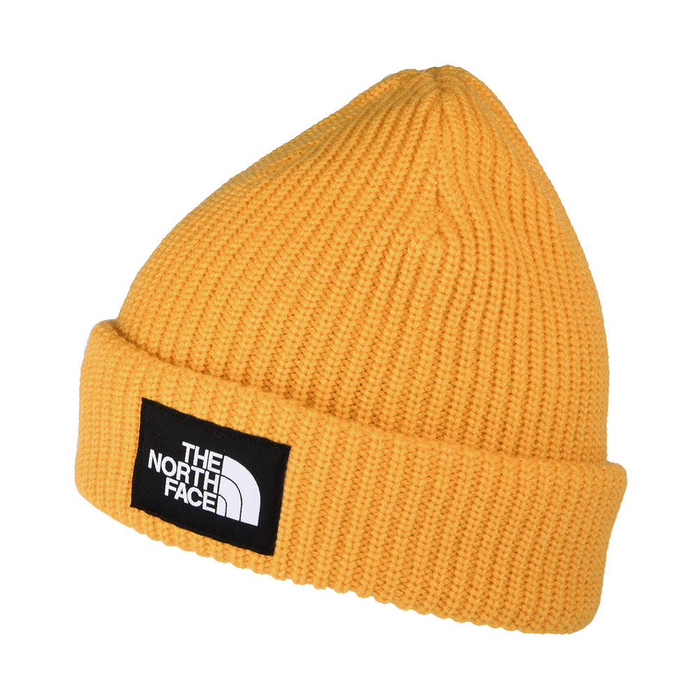 Gorro Beanie Salty Dog II Forrado de The North Face - Diente de Léon